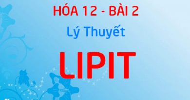 Lipit là gì? Chất béo là gì? Tính chất hóa học, Tính chất vật lý của chất béo và Ứng dụng - Hóa 12 bài 2